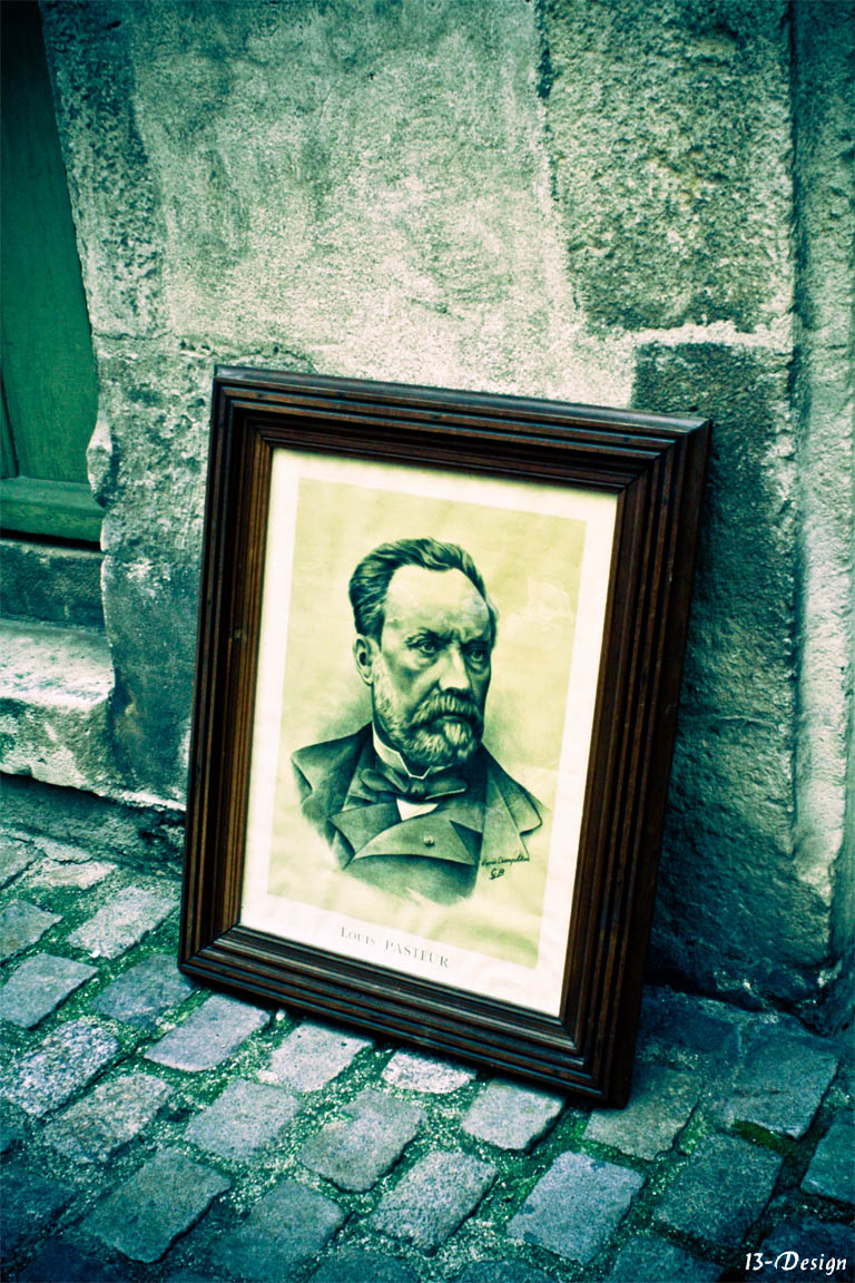 Portrait Pasteur Dole